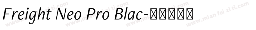 Freight Neo Pro Blac字体转换